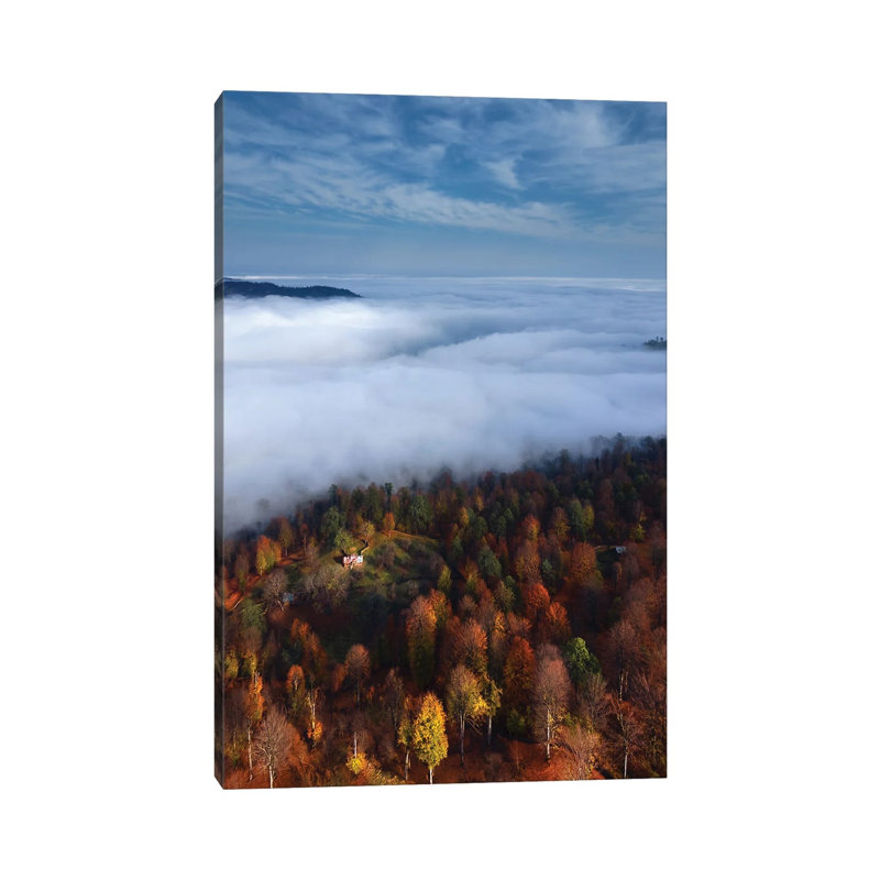 Foggy Forest Panoramic View By Majid Behzad - Wrapped Canvas Graphic Art by Majid Behzad - Wrapped Canvas Print