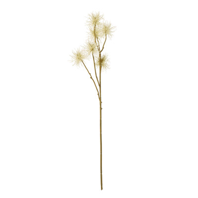Anastasija Arrangement