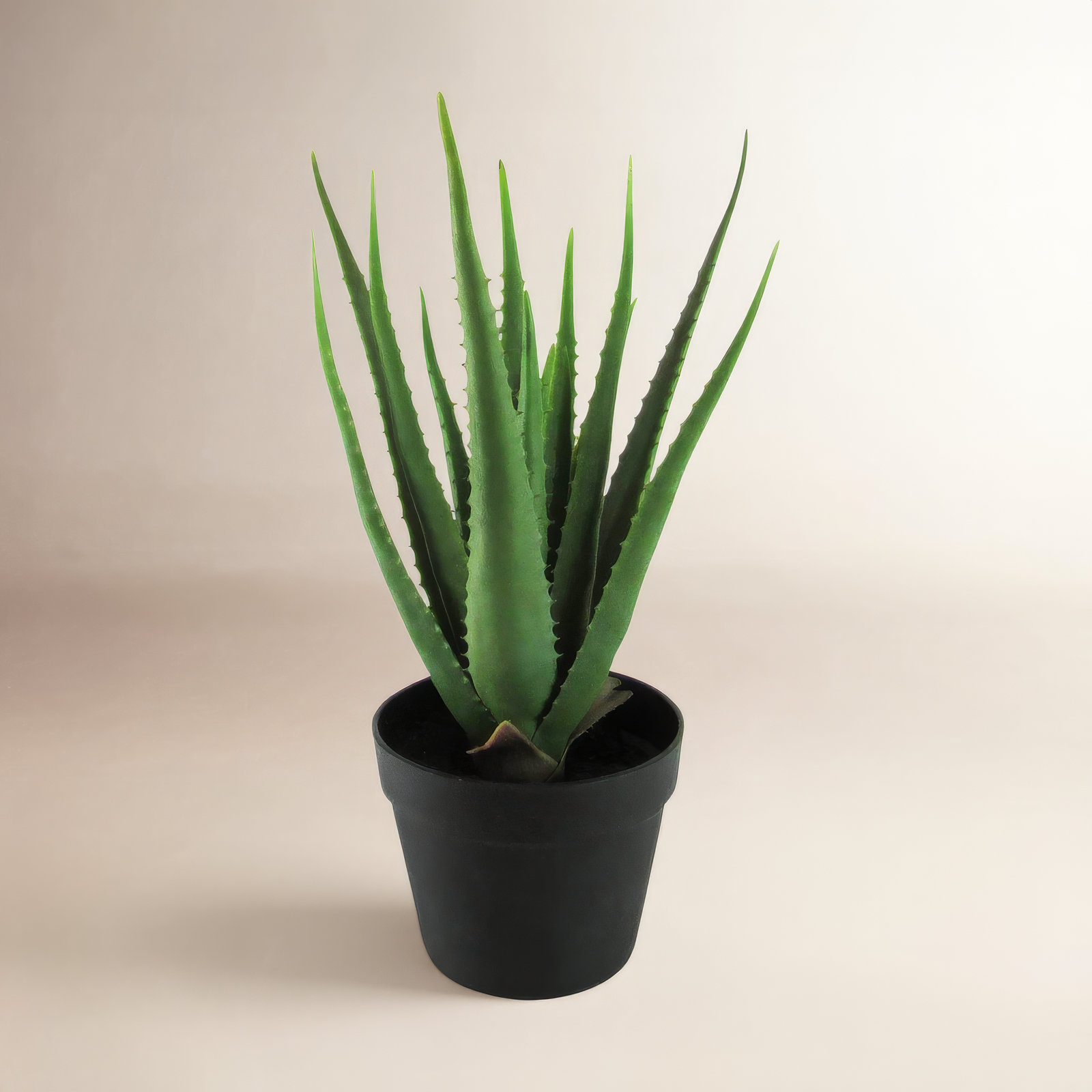 Plant in Pot, 19" H x 14.5" W x 14.5" D