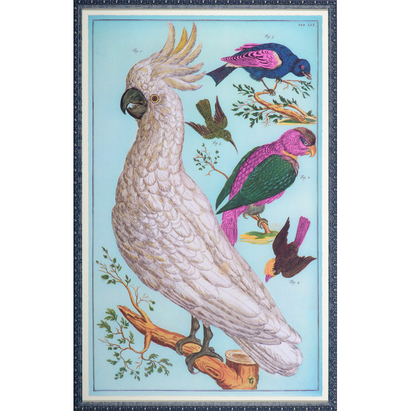 Birds Of A Feather Print
