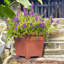 Pot à fleurs en plastique Kayenta-1896747700-1896747701