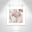 Intime rosé III - photographie-60493293-60493295