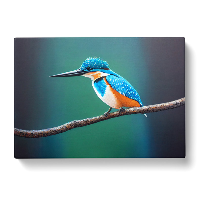 Desirable Kingfisher Bird - Wrapped Canvas Print, 35cm H x 50cm W x 3cm D