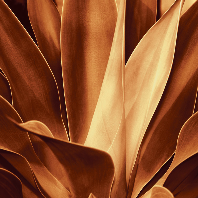 Santa Fe I by Caroline Kelly - Wrapped Canvas Print, 30cm H x 30cm W x 3.8cm D