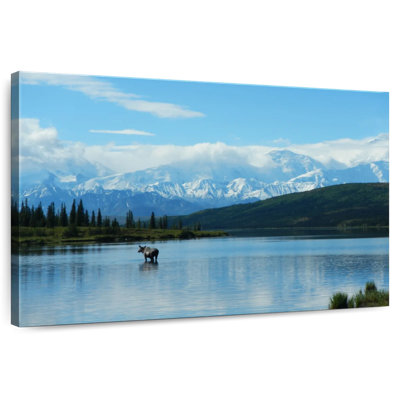 Brampt Wonder Lake Landscape