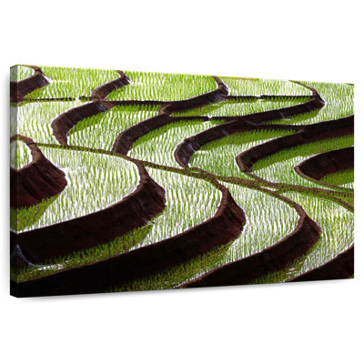 Alvord Curvy Rice Terraces