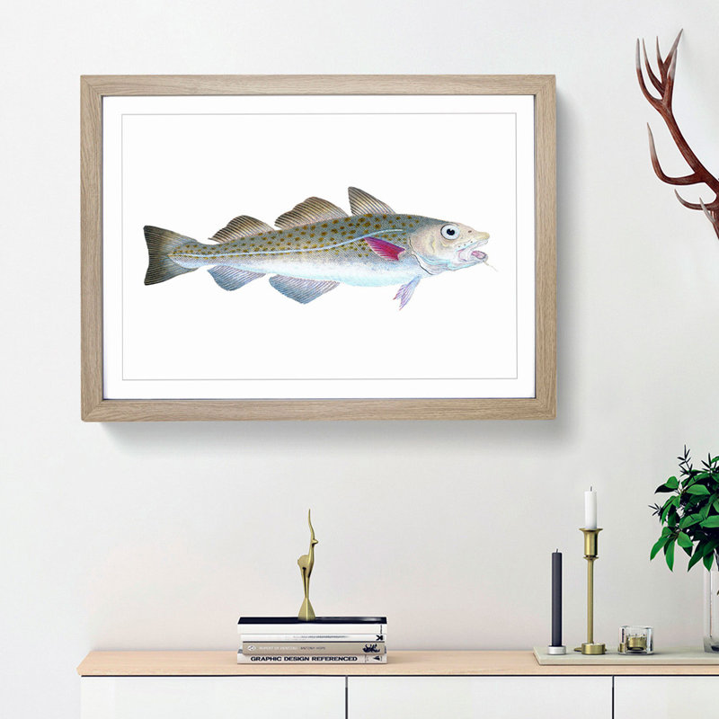 Atlantic Cod Fish by Edward Donovan - Single Picture Frame Painting, Oak Framed, 33cm H x 45cm W x 2cm D