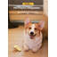 Distributeur de friandises pour chien en forme de poisson-123040006