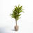 68'' Faux Dracaena Tree in Ceramic Planter