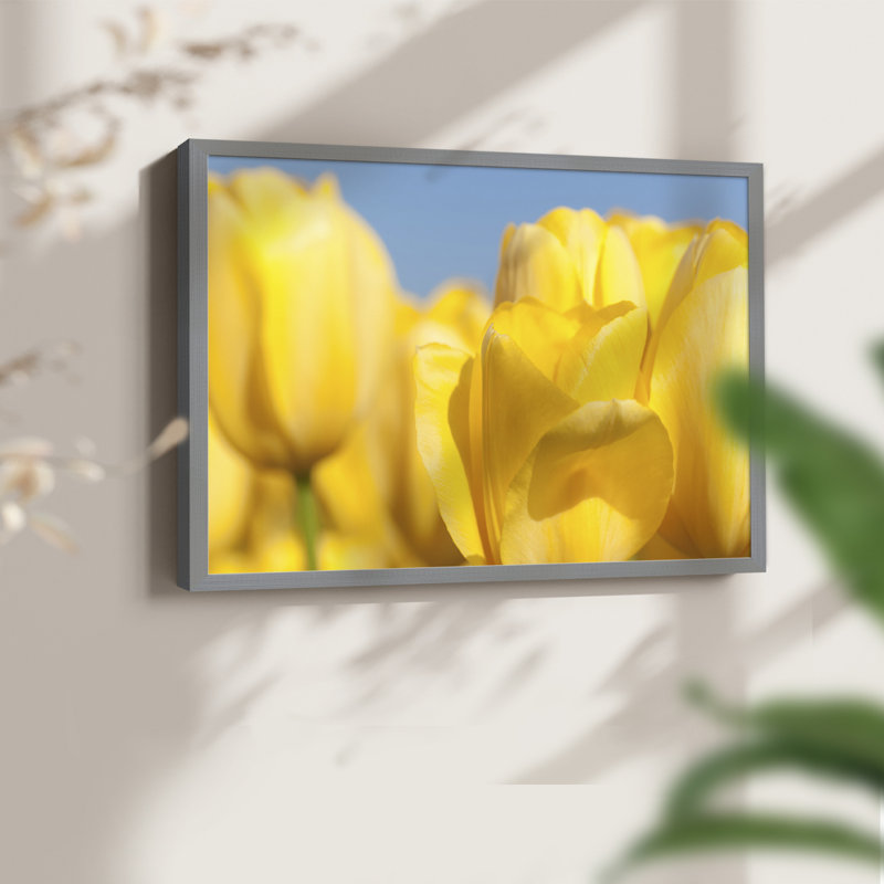 Sunshine Yellow I -Framed Print - Restickable, 8" H x 10" W, Gray