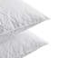 Oreillers gris en plumes d'oie-1780883453