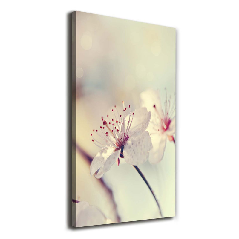 Cherry Blossoms - Wrapped Canvas Print