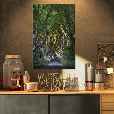 The Dark Hedges - Reproduction de photo sur toile tendue