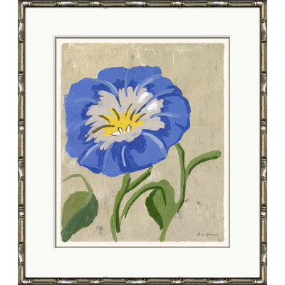 Morning Glory