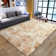 Adalyna Machine Tufted Shag Area Rug