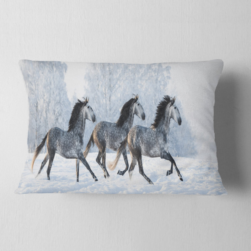 Coussin lombaire Schafer