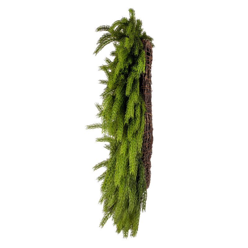 28" Green Norfolk Pine Wreath