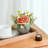 Lazaros Arrangement