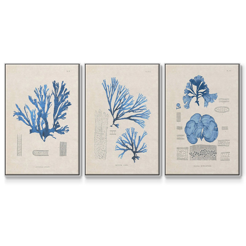 3 algues bleu marine IV, Blanc, H 27 po x l 54 po