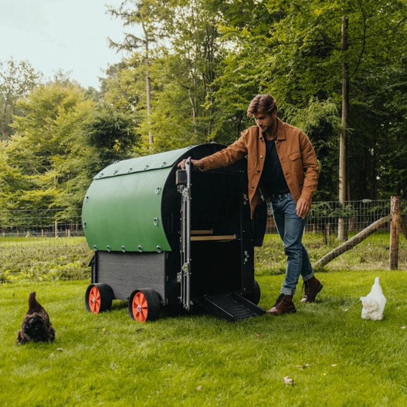 Nestera Chicken Wagon, Green and Black