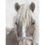 Horse Portrait 1 Print by Nathan Turner