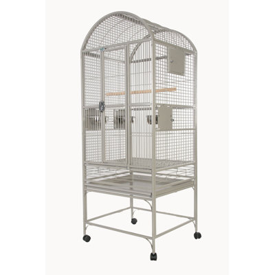 Medium Dome top Cage Platinum