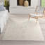 Machine Woven Beige/Black/Grey Indoor Rug-866273123