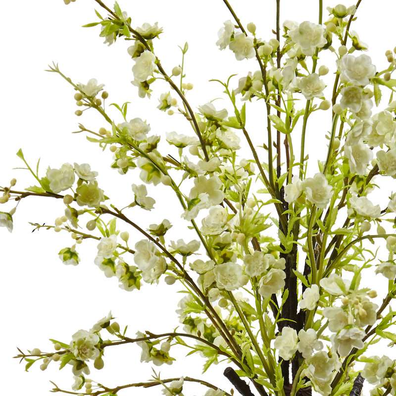 Fleurs de cerisier dans un vase en verre, Blanc