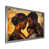 Single Picture Framed Print without Mat