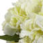 Arrangement floral d'hortensias en fleurs dans un vase-24746405-24746407