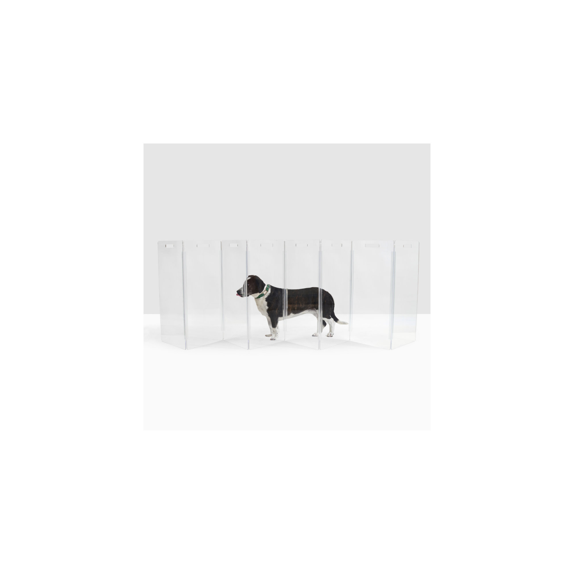 Tall Zig Zag Clear Pet Gate, 8-Panel