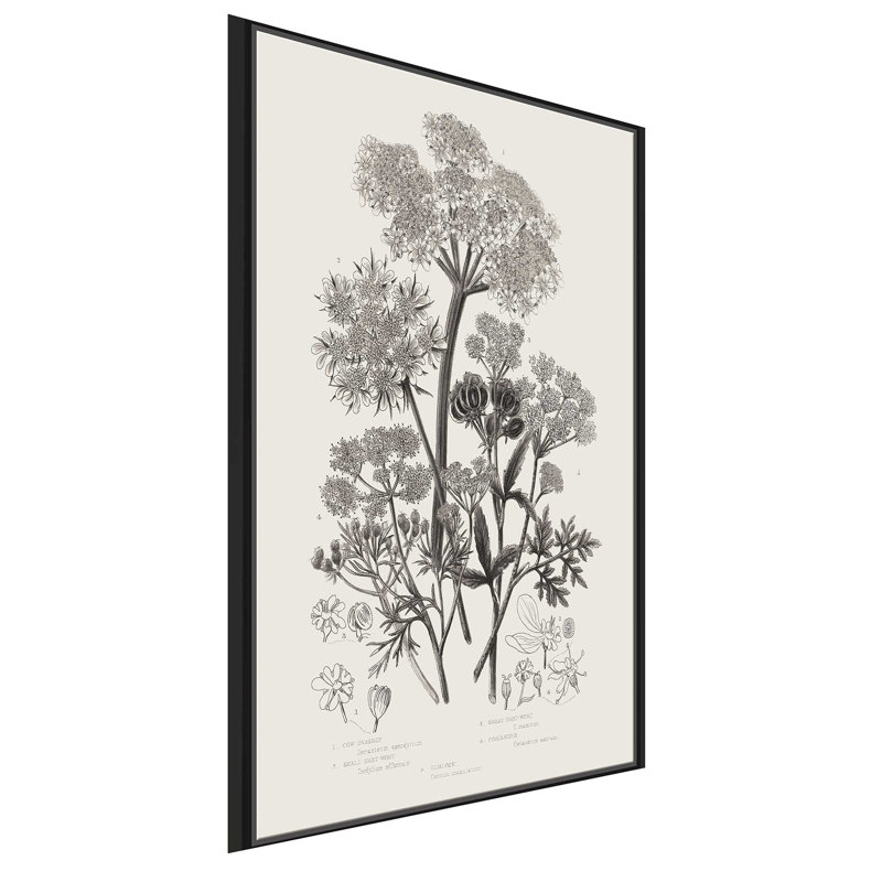 Plantes à fleurs VI neutre - Peinture, L 31,5 po x H 51,5 po, Cadre noir