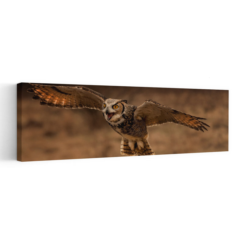 Majestic Owl in Flight 1 Piece Wrapped Canvas Panoramic Wall Art, 30.48 cm H x 91.44 cm W