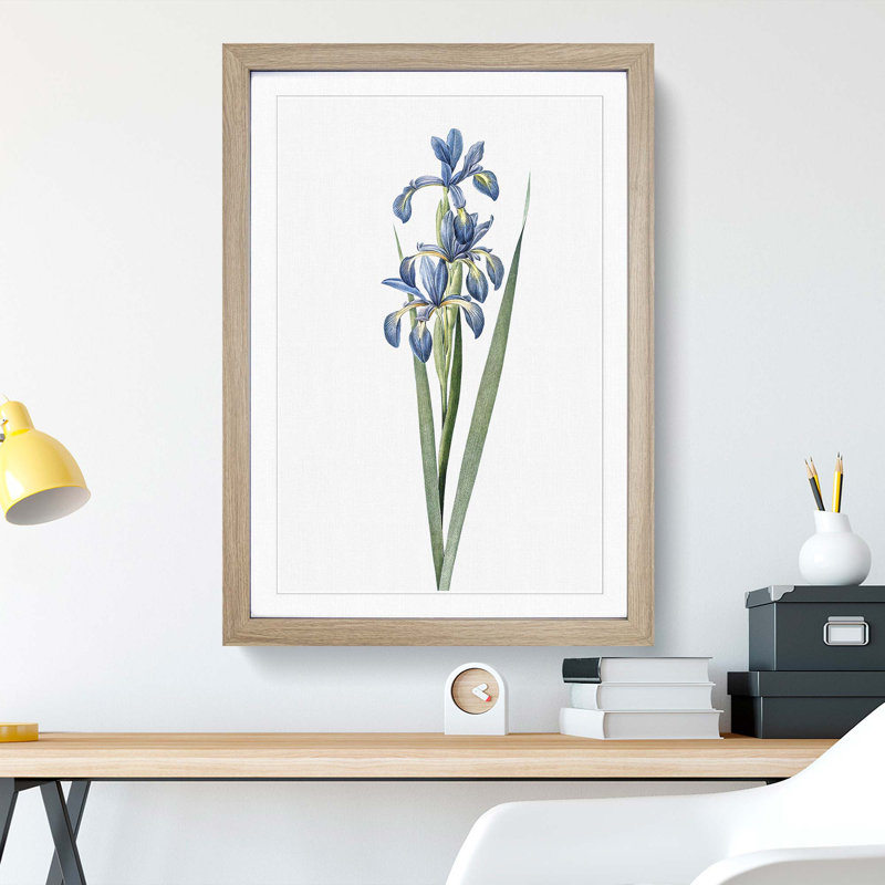 Blue Iris Flowers by Pierre-Joseph Redoute - Picture Frame Art Print, 36cm H x 27cm W x 2cm D, Oak Framed