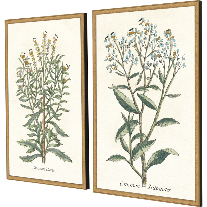 Botanical Plants I S/2 Set by Giclee Studio