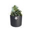 B.For Pot Planter-70004571-37904858