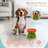 P.t. Supply Co. Watermelon Shaped Stoneware Elevated Pet Bowl, Raised Ceramic Food & Water Dish For Dogs And Cats