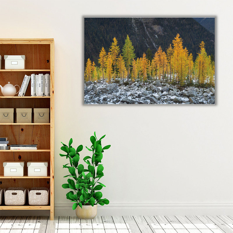 Alpine Larches North Cascades - reproduction d'art sur toile, H 32 po x l 48 po