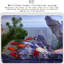Aquarium 60-66 gallons