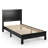 Algene Platform Bed-242550562-242550564