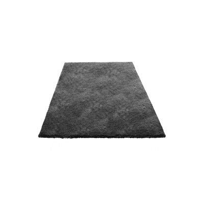 Indoor Plush Area Rugs, 5 X 8 Ft Soft Plush Carpet, Furry Shag Area Rugs For Living Room, Bedroom, Sunroom, Modern Home Decor Aesthetic, Non-Shedding, Non-Woven, Slip-Resistant, Dark Gray