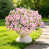 Pink 16 bundles
