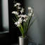 Orchidée blanche 22,5 "en pot Vanda