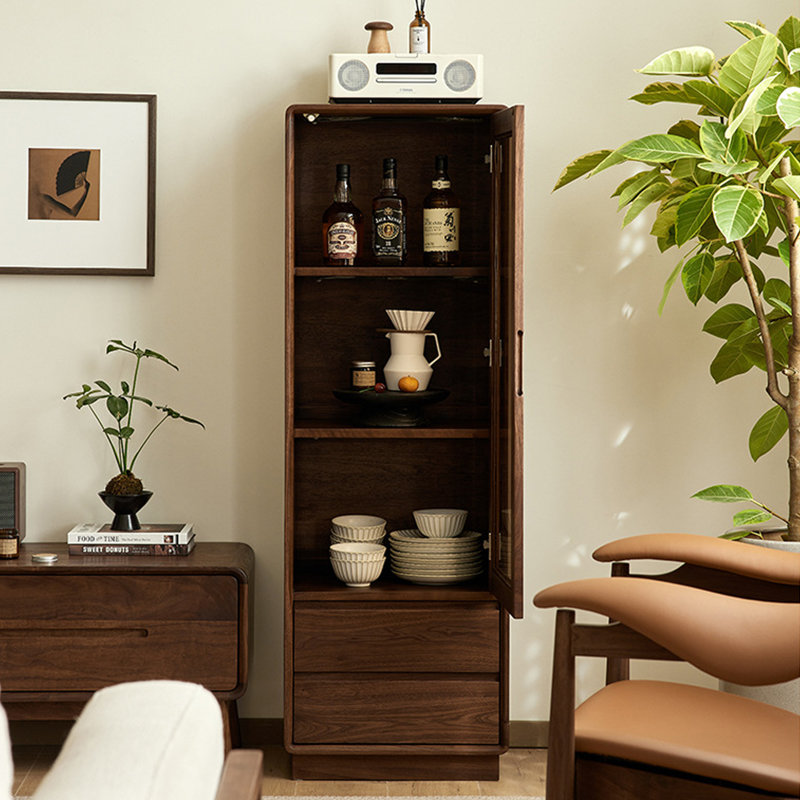 Modern minimalist display and storage cabinet