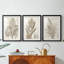 Sépia plantes exotiques I - reproduction encadrée de qualité supérieure sur mesure mat - 3 pièces-2061319640-2061319642