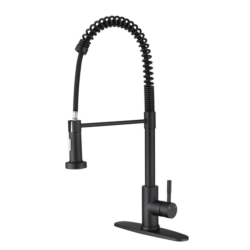 Robinet de cuisine avec douchette extractible