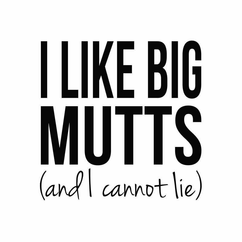 « I Like Big Mutts And I Cannot Lie », H 12 po x l 12 po