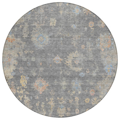 Machine Washable Indoor/Outdoor Matsumura ACN2302 Global Rug