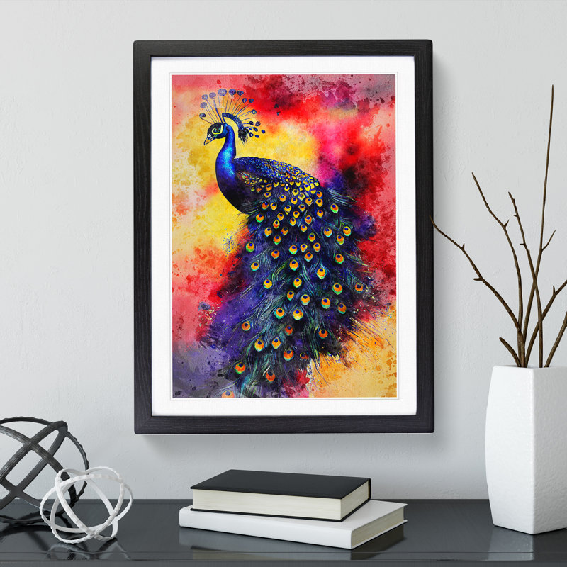 Exciting Peacock No.1 - Single Picture Frame Print, Black Framed, 34cm H x 25cm W x 2cm D