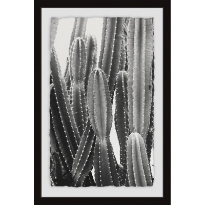 White Sailboats " Vintage Cactus " Graphic Art Print